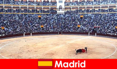 Madrid'deki geleneksel festivaller her yabancıyı şaşırtıyor