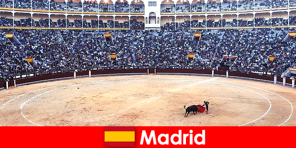 Madrid’deki geleneksel festivaller her yabancıyı şaşırtıyor