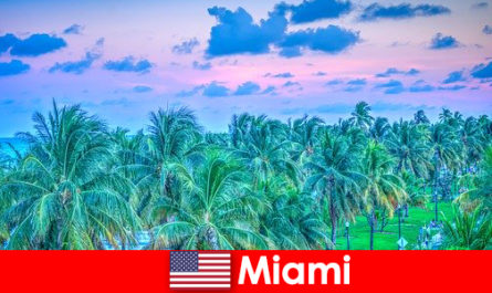 Büyük tropikal vahşi doğa ile Miami nefes kesen doğa