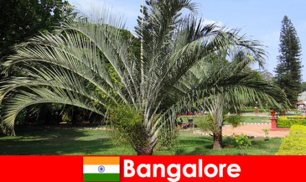 Her yabancı için tüm yıl boyunca Bangalore'nin hoş iklimi bir geziye değer