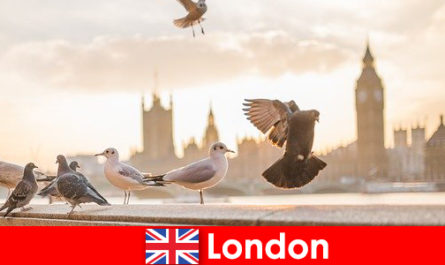 Yabancı kökenli uluslararası ziyaretçiler için Londra'da gezilecek yerler