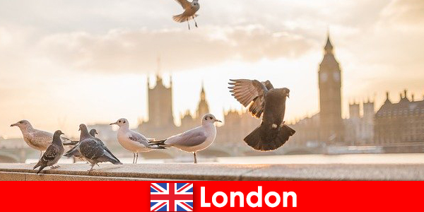 Yabancı kökenli uluslararası ziyaretçiler için Londra’da gezilecek yerler