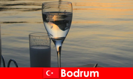 Türkiye'de genç turistler için Bodrum disko kulüpleri ve barları