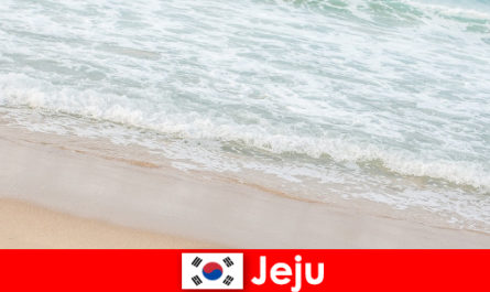 İnce kumu ve berrak suyuyla Jeju, sahilde aile tatili için ideal bir yerdir.