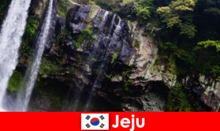 Güney Kore'de Jeju, yabancılar için nefes kesici ormanlara sahip subtropikal volkanik ada