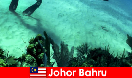 Johor Bahru Dalış, tırmanma, yürüyüş ve çok daha fazlasında macera aktiviteleri