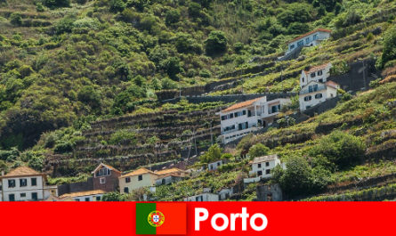 Dünyanın her yerinden şarap severler için Porto tatil yeri