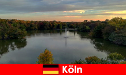 Köln Almanya'nın doğa parklarında orman, dağ ve göllerde doğa yolculuğu