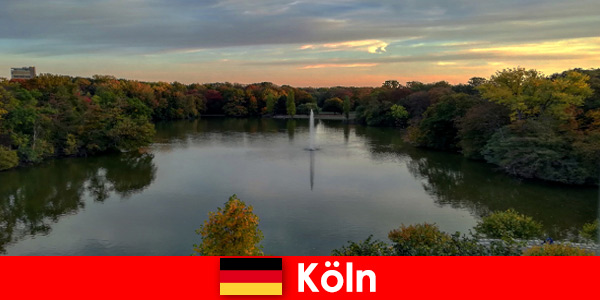 Köln Almanya’nın doğa parklarında orman, dağ ve göllerde doğa yolculuğu