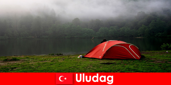 Uludağ Türkiye ormanlarında aile ile kamp tatili