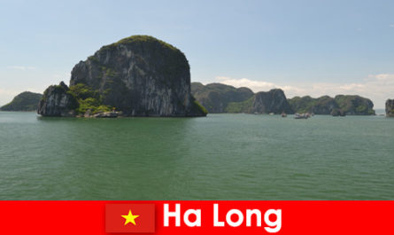 Ha Long Vietnam'daki kaya devlerine tatilciler için tekne turları