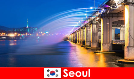 Kore'deki Seul, yabancıları cezbeden bir ışıklar şehridir.