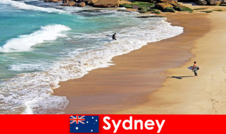 Sörf turistleri Sidney Avustralya'da nihai vuruşun tadını çıkarıyor