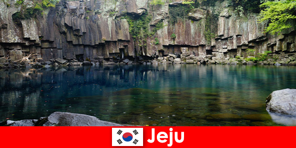 Jeju Güney Kore’nin güzel volkanik manzarasına egzotik uzun mesafeli seyahat