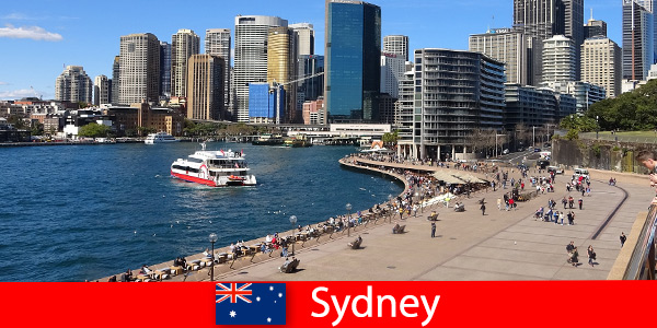 Dünyanın her yerinden ziyaretçiler için tüm Sidney Avustralya şehrinin panoramik manzarası