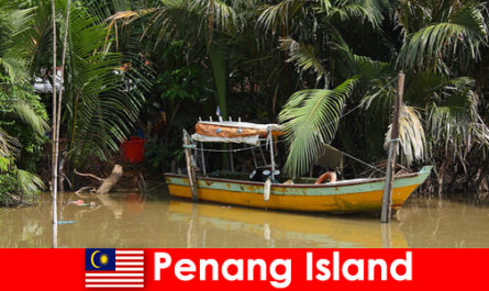 Penang Adası Malezya ormanlarında yürüyüşçüler için uzun mesafeli seyahat