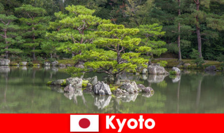 Japon bahçeleri yabancı konukları Kyoto'da rahatlatıcı yürüyüşlere davet ediyor