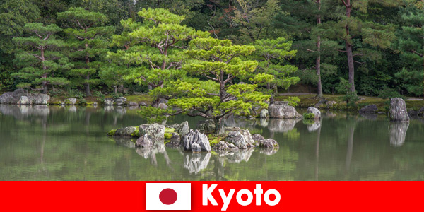 Japon bahçeleri yabancı konukları Kyoto’da rahatlatıcı yürüyüşlere davet ediyor