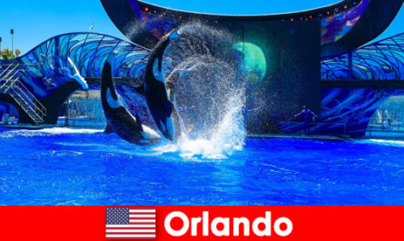 Orlando Amerika Birleşik Devletleri'nde yabancılar için bireysel seyahat rezervasyonu yapın
