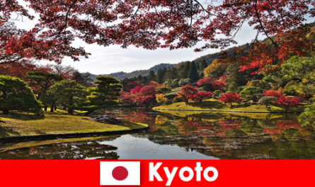 Ünlü sonbahar yaprakları boyamasını görmek için Kyoto Japonya'ya yurtdışı gezisi
