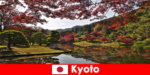 Ünlü sonbahar yaprakları boyamasını görmek için Kyoto Japonya’ya yurtdışı gezisi