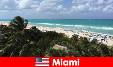 Palmiye ağaçları, kumlu dalgalar, cennet gibi Miami Amerika Birleşik Devletleri'nde uzun süreli tatilcileri bekliyor