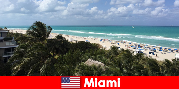 Palmiye ağaçları, kumlu dalgalar, cennet gibi Miami Amerika Birleşik Devletleri’nde uzun süreli tatilcileri bekliyor