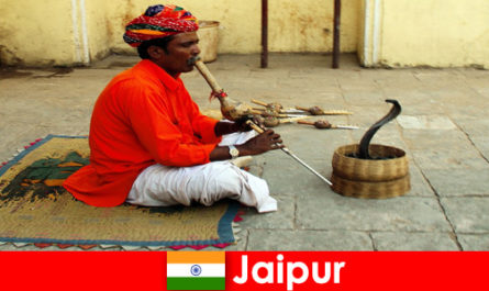 Jaipur Hindistan'da tatilciler yoğun sokaklarda yılan dansı ve eğlence deneyimi yaşıyor