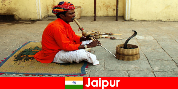 Jaipur Hindistan’da tatilciler yoğun sokaklarda yılan dansı ve eğlence deneyimi yaşıyor
