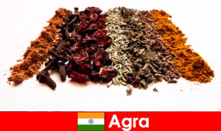 Agra Hindistan'daki rafine baharat mutfağına turistler için tur