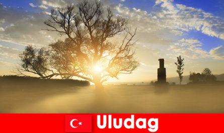 Yürüyüşçüler Uludağ Türkiye'de güzel doğanın tadını çıkarın