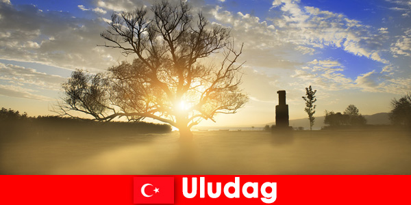 Yürüyüşçüler Uludağ Türkiye’de güzel doğanın tadını çıkarın