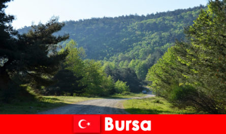Bursa Türkiye, güzel doğada yürüyüş yapan turistler için organize geziler sunuyor