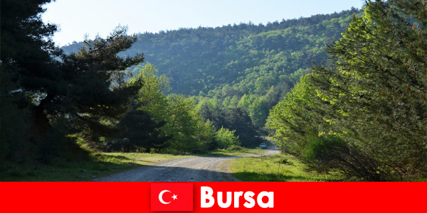 Bursa Türkiye, güzel doğada yürüyüş yapan turistler için organize geziler sunuyor