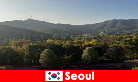 Seul Güney Kore'ye gruplar için popüler tatil paketleri