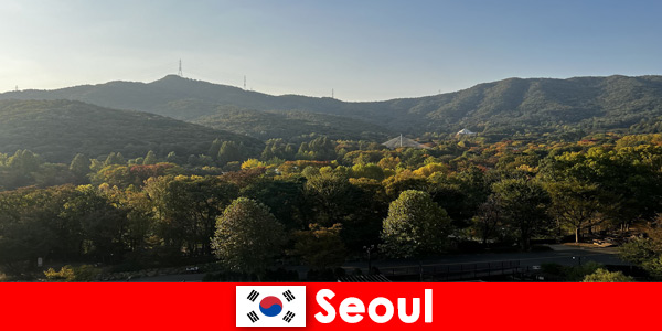 Seul Güney Kore’ye gruplar için popüler tatil paketleri