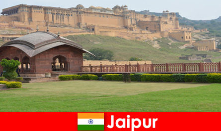 Jaipur Hindistan'daki tatilciler için en iyi hizmetle iyi hissettiren yolculuk