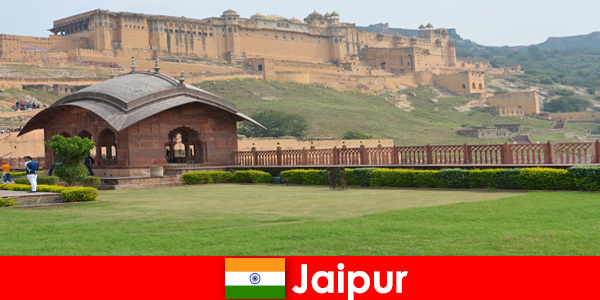Jaipur Hindistan’daki tatilciler için en iyi hizmetle iyi hissettiren yolculuk