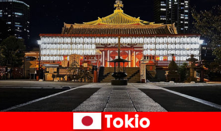 Japonya'ya gelen konuklar için yurtdışı gezisi Tesis bünyesinde Tokyo kültürünü deneyimleyin