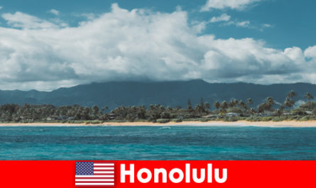 Honolulu Amerika Birleşik Devletleri'nde spor tatilcileri için dalış gezileri benzersiz bir deneyim