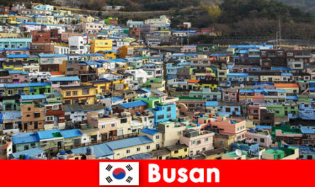 Her köşesinde az parayla yemek kültürü olan Busan Güney Kore'ye yurtdışı gezisi