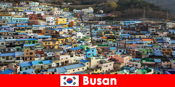 Her köşesinde az parayla yemek kültürü olan Busan Güney Kore’ye yurtdışı gezisi