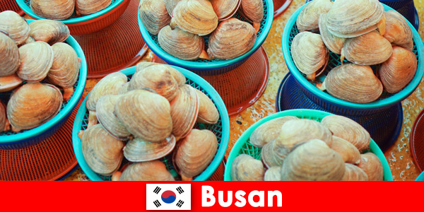 Busan Güney Kore'de pazarda günlük taze deniz ürünleri bulunur