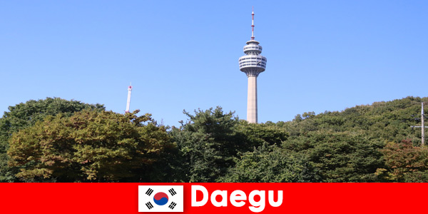 Daegu Güney Kore'deki güzel şehir dünyanın her yerinden turistleri seviyor