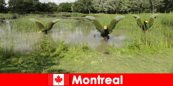 Montreal Kanada'da doğayı ve nadir hayvanları keşfedin