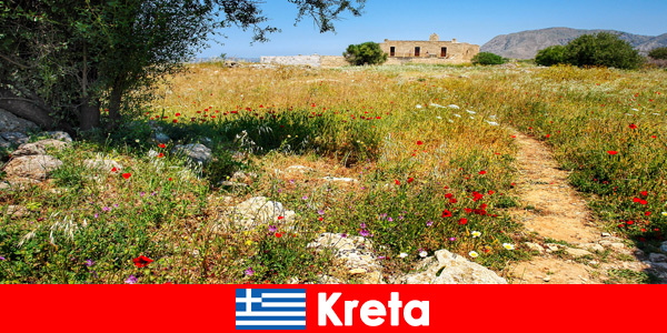 Girit Yunanistan’da tatilcileri doğa deneyimleriyle birlikte sağlıklı Akdeniz yemekleri bekliyor