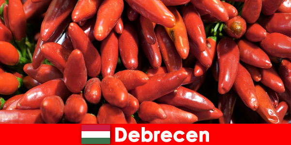 Debrecen Macaristan'da hemen hemen her yemeğin içinde bulunan en ünlü sebze