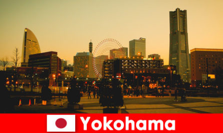 Yokohama Japonya'nın lezzetli restoranlarına öğrenciler için eğitici gezi ve ucuz ipuçları