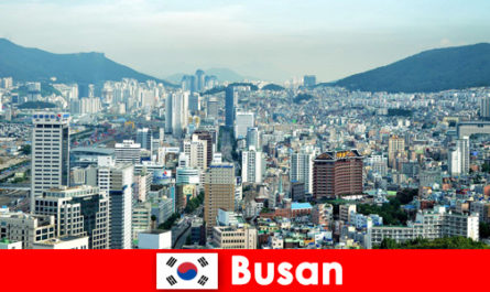 Busan Güney Kore, aktif dağ turistleri arasında giderek daha popüler hale geliyor