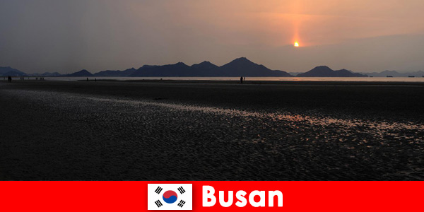 Busan Güney Kore'de el değmemiş doğayı ve birçok etkinliği deneyimleyin
